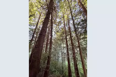 000 Old Wagon, Coos Bay, OR 97420 - Photo 28