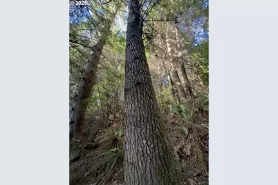 000 Old Wagon, Coos Bay, OR 97420 - Photo 18