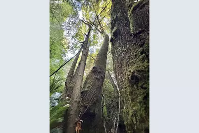 000 Old Wagon, Coos Bay, OR 97420 - Photo 24