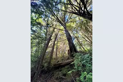 000 Old Wagon, Coos Bay, OR 97420 - Photo 30