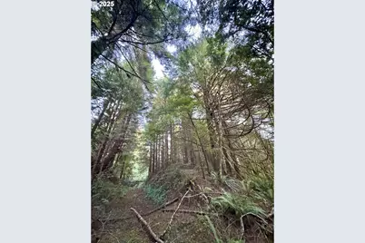 000 Old Wagon, Coos Bay, OR 97420 - Photo 38