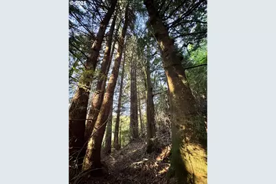 000 Old Wagon, Coos Bay, OR 97420 - Photo 22