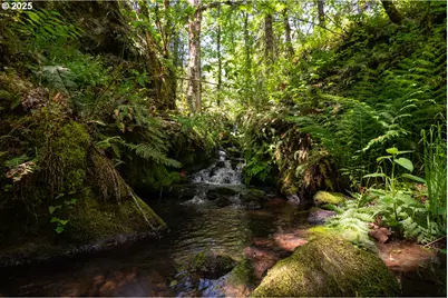 77690 Brock Rd, Oakridge, OR 97463 - Photo 14