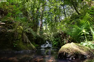 77690 Brock Rd, Oakridge, OR 97463 - Photo 16