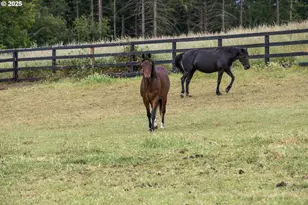 34680 NE Kramien Rd, Newberg, OR 97132 - Photo 40