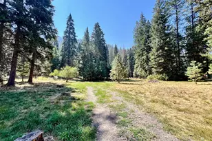 59654 River Canyon Rd, Imnaha, OR 97842 - Photo 8