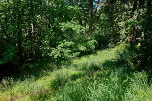 238 Rock St, Silverton, OR 97381 - Photo 36