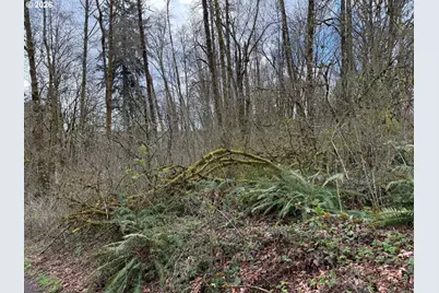 Tide Creek Rd, Rainier, OR 97048 - Photo 10