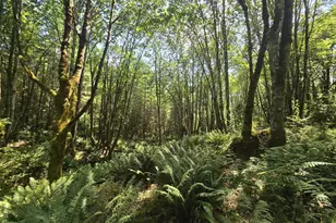 Tide Creek Rd, Rainier, OR 97048 - Photo 1