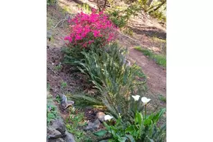 98825 Pleasant Hill Dr, Brookings, OR 97415 - Photo 22