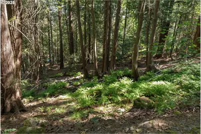 1910 Proctor Rd, Mosier, OR 97040 - Photo 24