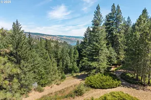 1910 Proctor Rd, Mosier, OR 97040 - Photo 12