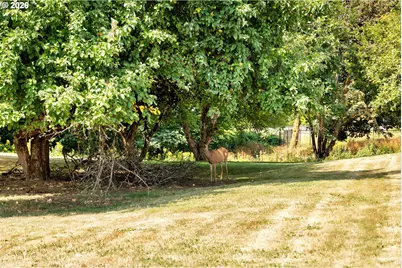 14710 NW 11th Ave, Vancouver, WA 98685 - Photo 34