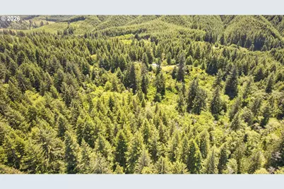 84546 Grant Creek Rd, Westlake, OR 97493 - Photo 28