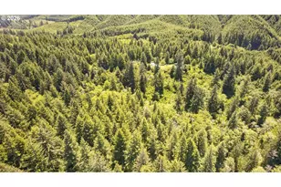84546 Grant Creek Rd, Westlake, OR 97493 - Photo 28