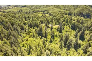84546 Grant Creek Rd, Westlake, OR 97493 - Photo 24