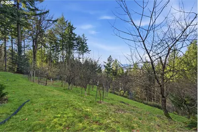 25445 NE Bald Peak Rd, Hillsboro, OR 97123 - Photo 38