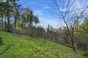 25445 NE Bald Peak Rd, Hillsboro, OR 97123 - Photo 38