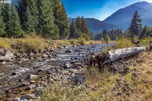 288 Baker Rd, Randle, WA 98377 - Photo 48