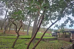 306 McLain Ave, Roseburg, OR 97471 - Photo 4