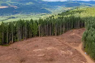 25420 NW Pumpkin Ridge Rd, North Plains, OR 97133 - Photo 34