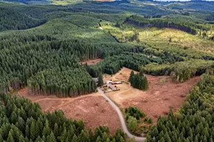 25420 NW Pumpkin Ridge Rd, North Plains, OR 97133 - Photo 32