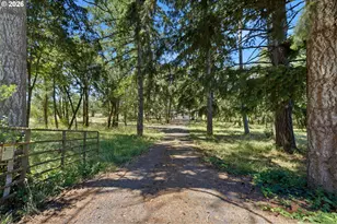40662 Fish Hatchery Dr, Scio, OR 97374 - Photo 20
