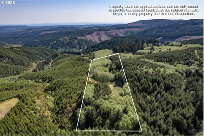 0 Conyers Creek, Clatskanie, OR 97016 - Photo 4