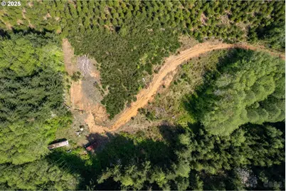 0 Conyers Creek, Clatskanie, OR 97016 - Photo 12