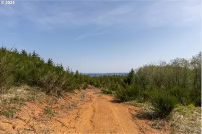 0 Conyers Creek, Clatskanie, OR 97016 - Photo 10