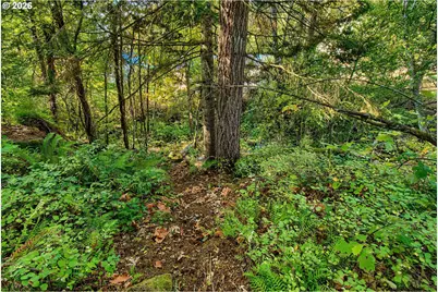 52 Fredrickson Ave, Carson, WA 98610 - Photo 16