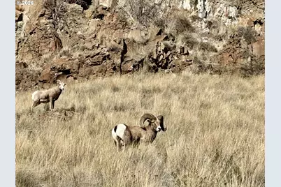 73720 Indian Creek Rd, Imnaha, OR 97842 - Photo 2