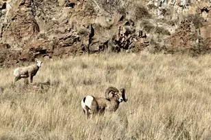 73720 Indian Creek Rd, Imnaha, OR 97842 - Photo 2