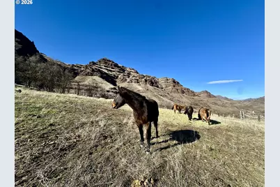 73720 Indian Creek Rd, Imnaha, OR 97842 - Photo 28