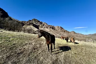 73720 Indian Creek Rd, Imnaha, OR 97842 - Photo 28