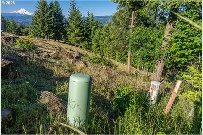 Catalina Ln, White Salmon, WA 98672 - Photo 12