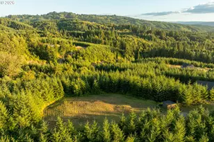 214 Bootjack Ln, Kelso, WA 98626 - Photo 46
