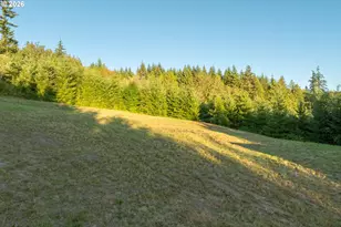 214 Bootjack Ln, Kelso, WA 98626 - Photo 38