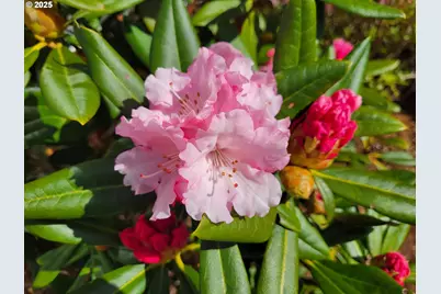 160 SW 59th St, South Beach, OR 97366 - Photo 34