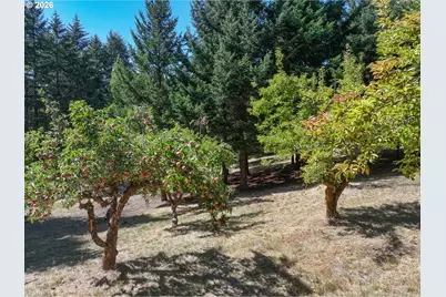 11 Graves Rd, White Salmon, WA 98672 - Photo 46