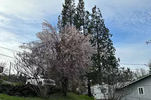 1387 NW Grove St, Roseburg, OR 97471 - Photo 8