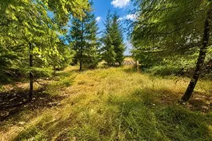 48500 NW Oppenlander Ln, Forest Grove, OR 97116 - Photo 42