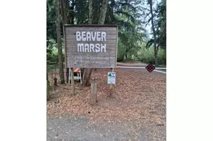 3517 NE 102nd Ct, Vancouver, WA 98662 - Photo 40