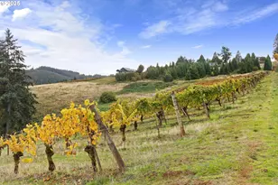 9325 NE Worden Hill Rd, Dundee, OR 97115 - Photo 44