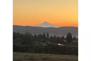 9325 NE Worden Hill Rd, Dundee, OR 97115 - Photo 4