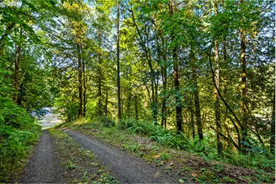 39383 NW Maller Ln, Banks, OR 97106 - Photo 4