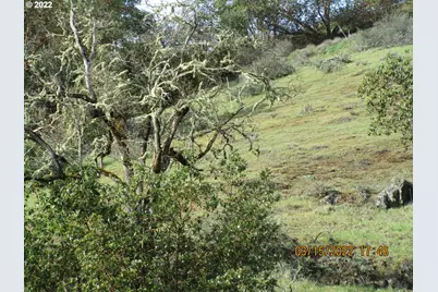 0 Melon Ln, Roseburg, OR 97471 - Photo 6