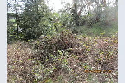 0 Melon Ln, Roseburg, OR 97471 - Photo 12