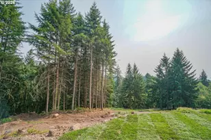 324 Champion Rd, Kalama, WA 98625 - Photo 38