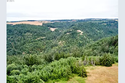 0 Silver Creek Canyon, Silverton, OR 97381 - Photo 10